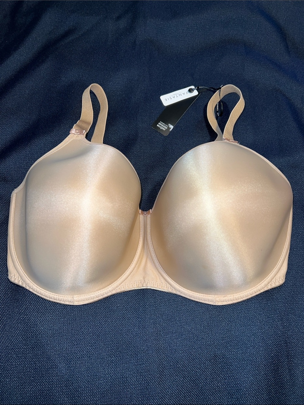 Fantasie Nude Shimmer Molded Underwire T-Shirt Bra Size 36J 1005263